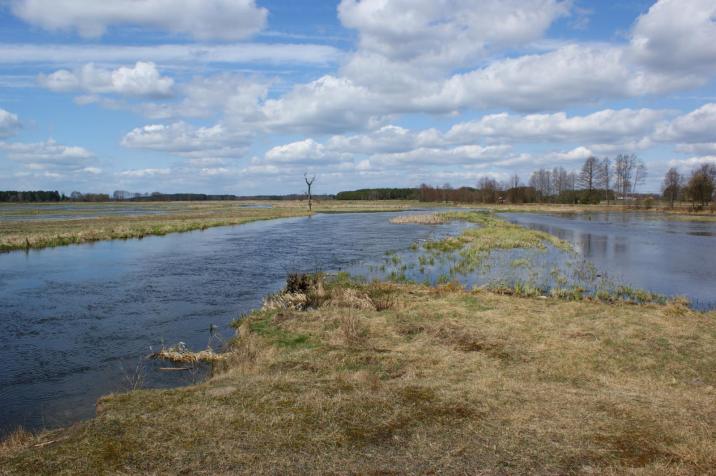 Fragment&#x20;obszaru&#x20;Natura&#x20;2000&#x20;Doliny&#x20;Omulwi&#x20;i&#x20;Płodownicy&#x20;&#x28;fot&#x2e;M&#x2e;Stępień&#x29;