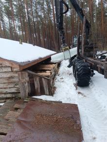 Po co leśnikom lód - wiosną?