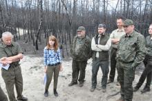 Pracownicy Nadleśnictwa Nowogród z wizytą w Nadleśnictwie Myszyniec
