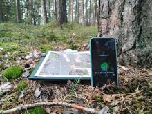 Gra terenowa - Po igle do sosny